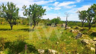 Land for sale in Silves, Portugal — €55,000