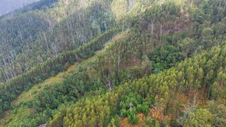 Terreno em Funchal