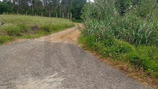 Land for sale in Vagos, Portugal — €50,000