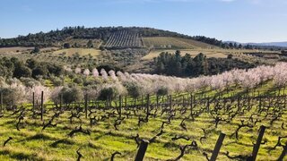 Terreno para venda em Vila Nova de Foz Côa, Portugal — 400 000 €