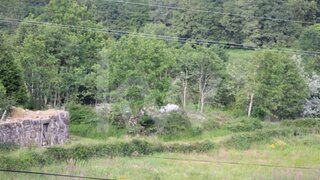 Land for sale in Paredes de Coura, Portugal — €20,000