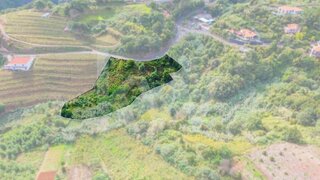 Land for sale in Santana, Portugal — €100,000