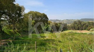 Land for sale in Caldas da Rainha, Portugal