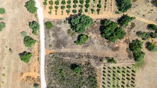 Land for sale in Silves, Portugal — €25,000