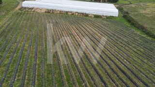 Terreno · 200 000 m² · 1 350 000 €