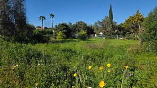 Land for sale in Silves, Portugal — €169,000