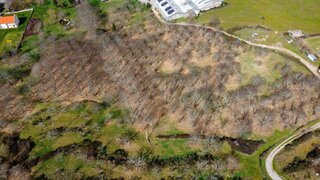 Terreno de 55 000 m² em Guarda