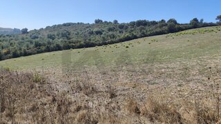 Land for sale in Mafra, Portugal — €295,000