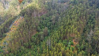Terreno em Funchal