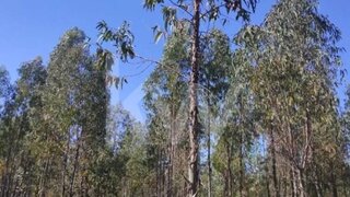 Land for sale in Penamacor, Portugal — €6,500