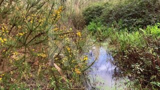Land for sale in Torres Vedras, Portugal — €800,000