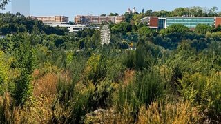 Land for sale in Penafiel, Portugal — €209,000