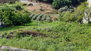 Land for sale in Mealhada, Portugal — €37,000