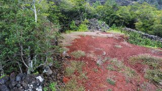 Land for sale in São Roque do Pico, Portugal — €110,000