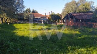 Terreno em Pombal