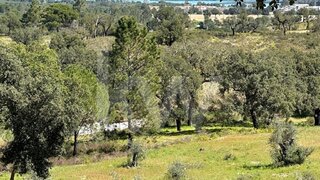 Land for sale in Ponte de Sor, Portugal — €98,000