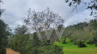 Land for sale in Albufeira, Portugal — €36,500
