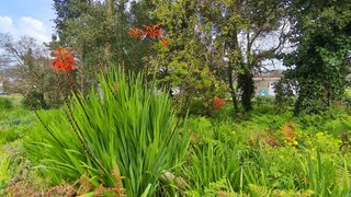 Land for sale in Mafra, Portugal — €450,000