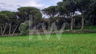 Land for sale in Sintra, Portugal — €27,500