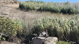 Land for sale in Vila do Bispo, Portugal — €89,000