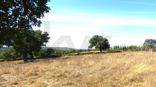Terreno em Nisa