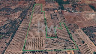 Land for sale in Silves, Portugal
