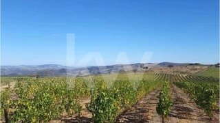 Land for sale in Vila Nova de Foz Côa, Portugal — €443,500