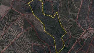 Land for sale in Alcoutim, Portugal — €55,000