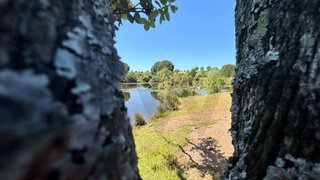 Land for sale in Ferreira do Alentejo, Portugal — €1,200,000
