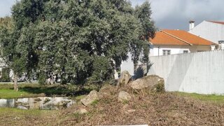 Terreno em Castelo Branco · 300 m² · 29 000 €