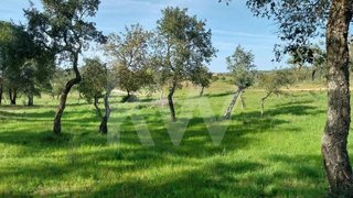 Land for sale in Grândola, Portugal — €110,000