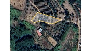 Terreno em Miranda do Corvo