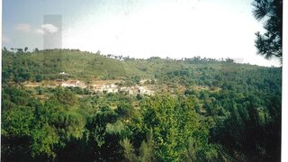 Land for sale in Mangualde, Portugal — €50,000