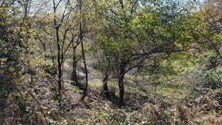 Land for sale in Cabeceiras de Basto, Portugal — €17,000