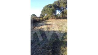 Land for sale in Cantanhede, Portugal — €25,000