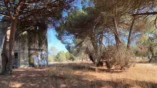 Land for sale in Moita, Portugal — €1,650,000