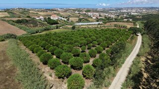 Land for sale in Lourinhã, Portugal — €54,500