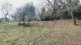 Land for sale in Soure, Portugal — €50,000