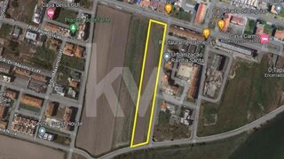 Land for sale in Vagos, Portugal — €1,500,000