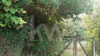 Land for sale in Sever do Vouga, Portugal — €90,000