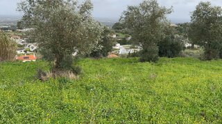 Land for sale in Palmela, Portugal — €1,065,000