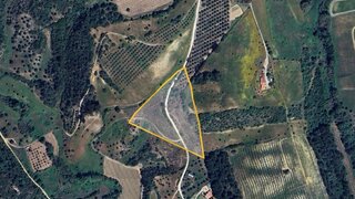 Terreno em Santarém · 16 520 000 m² · 85 000 €