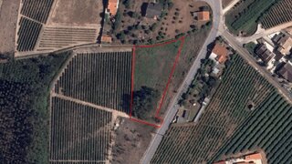 Land for sale in Cantanhede, Portugal — €35,000