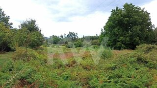 Land for sale in São Pedro do Sul, Portugal — €12,000