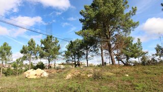 Terreno · 1901 m² · 225 000 €