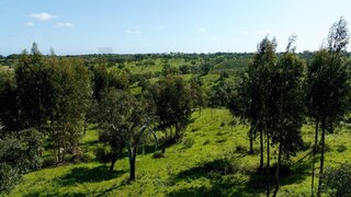 Land for sale in Grândola, Portugal — €150,000