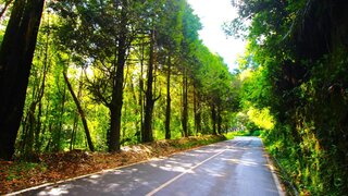 Land for sale in Santana, Portugal — €275,000