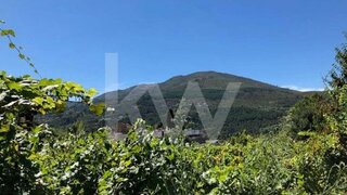 Terreno em Ribeira de Pena