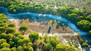 Land for sale in Grândola, Portugal — €2,900,000