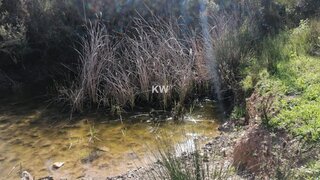 Land for sale in Odemira, Portugal — €79,990